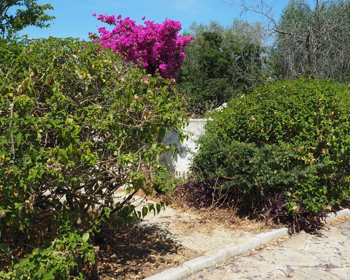 2c41069e-7020-4f55-9ec7-d4af4f92321b