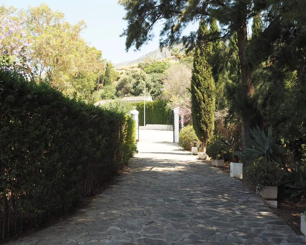 4453cabd-695a-42ac-87e9-66ea60ba943d