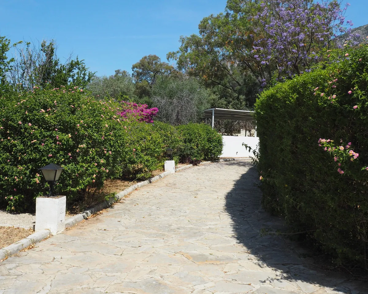 7803e01f-9f9c-409a-ac59-5a26f201486c