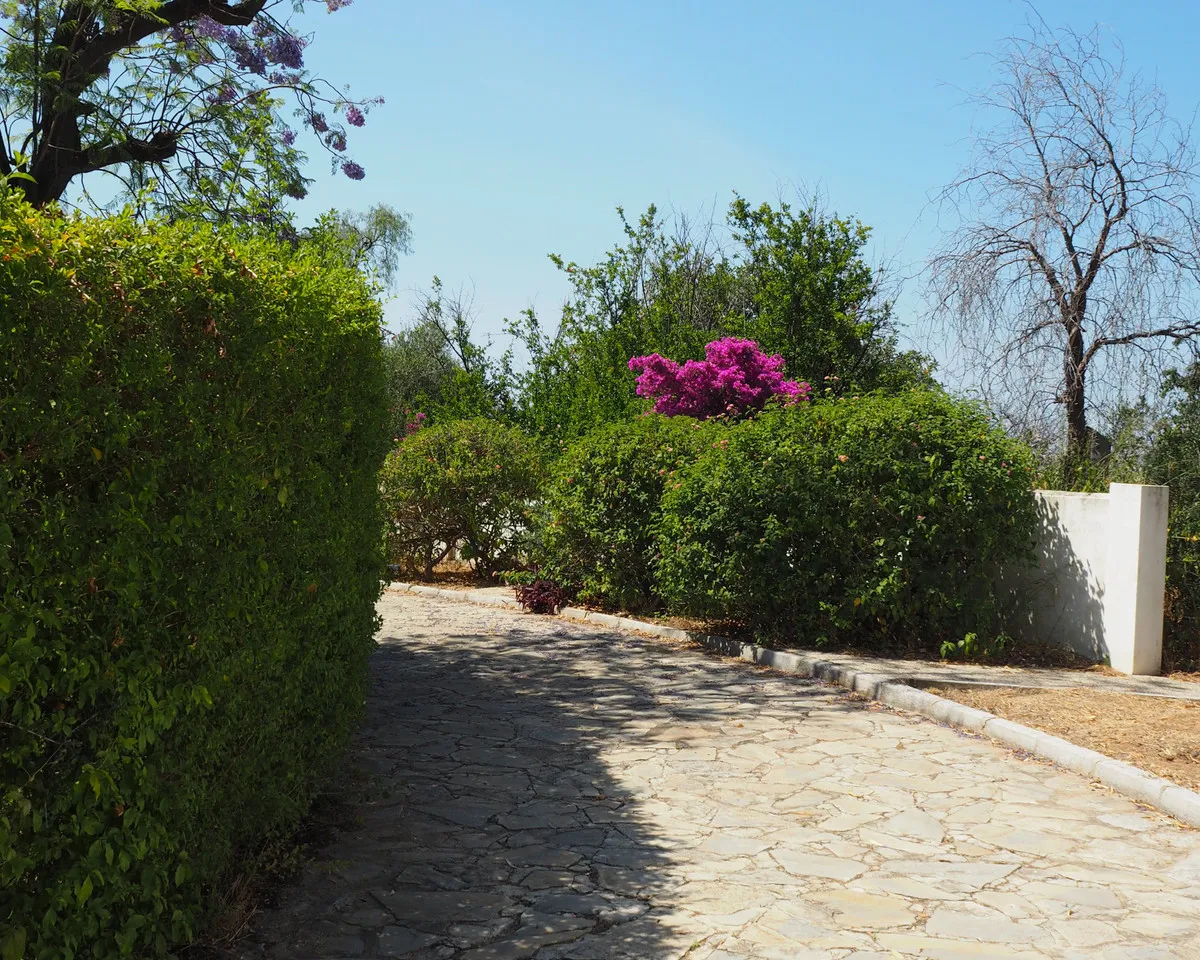 adde6db8-7140-48c3-a7d3-939e39b24654