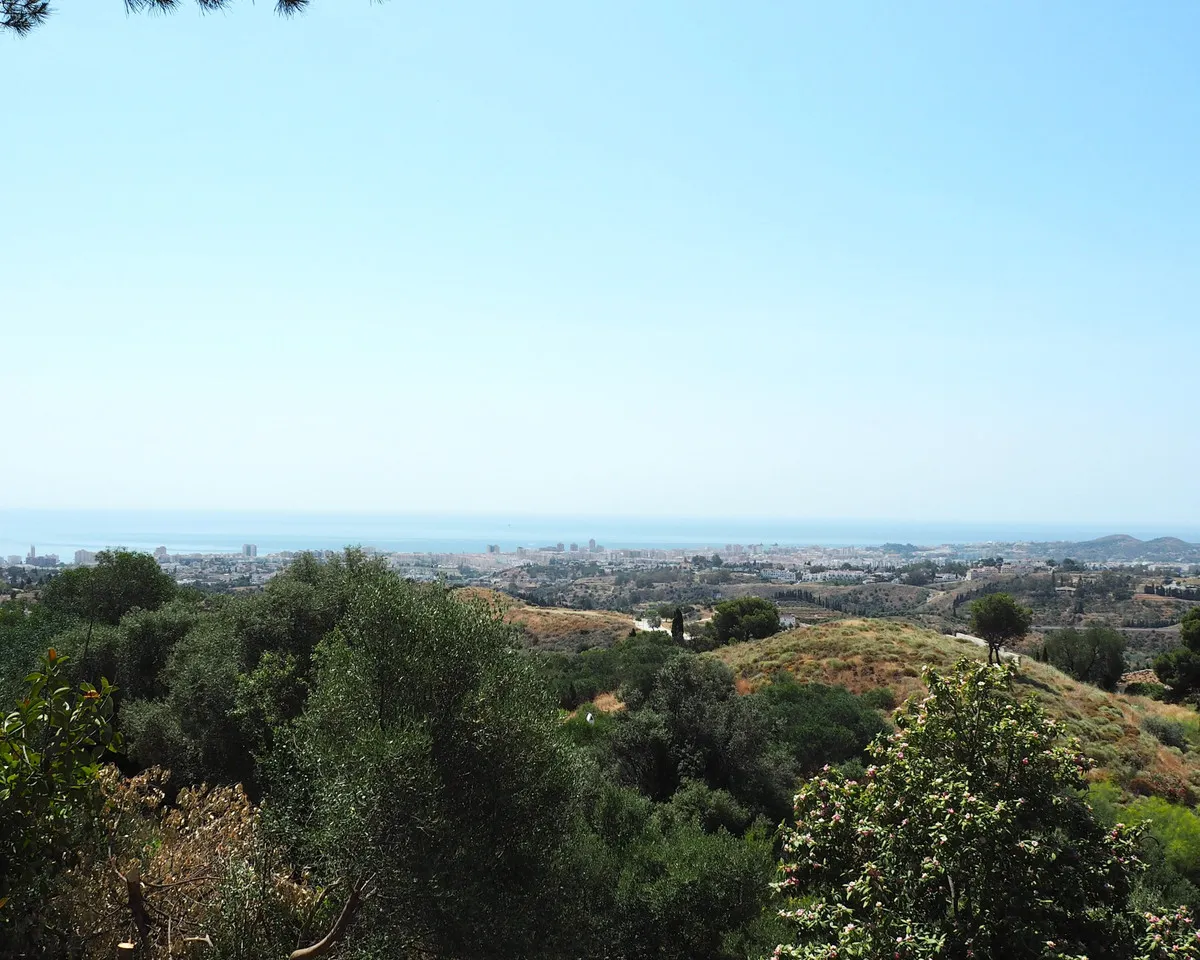 ed19aac1-c8d8-4630-a872-a441f6386b5a