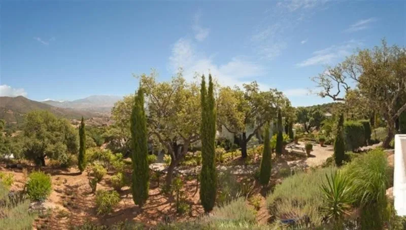 0d3d2f06-5129-46cd-aff3-dcb22967f7b8