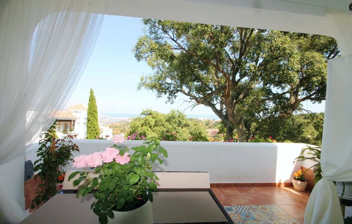 9c199246-effc-422e-89b4-373338c97306