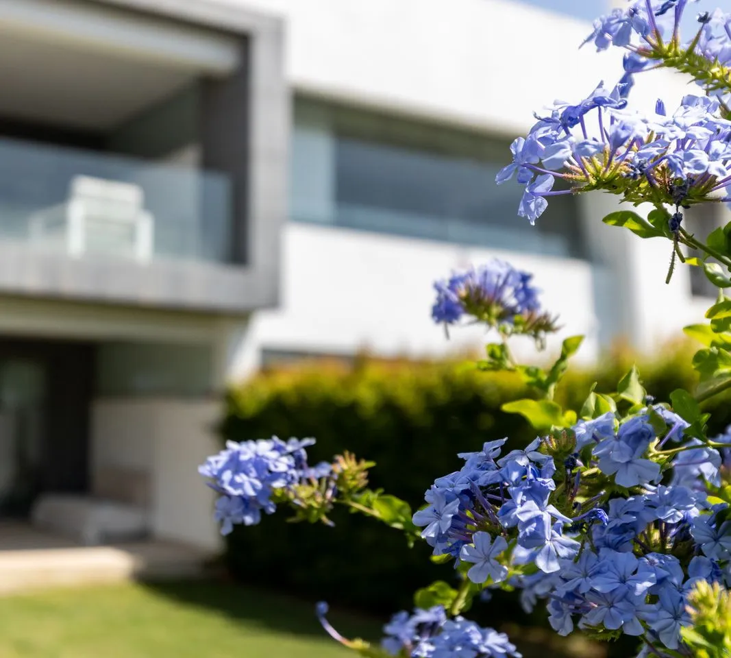 da4a97b4-1c82-48ed-a912-897a3ba21321