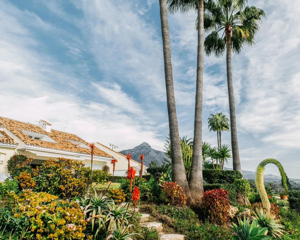 6894fe29-980f-4575-b19d-fd4935fb19f2