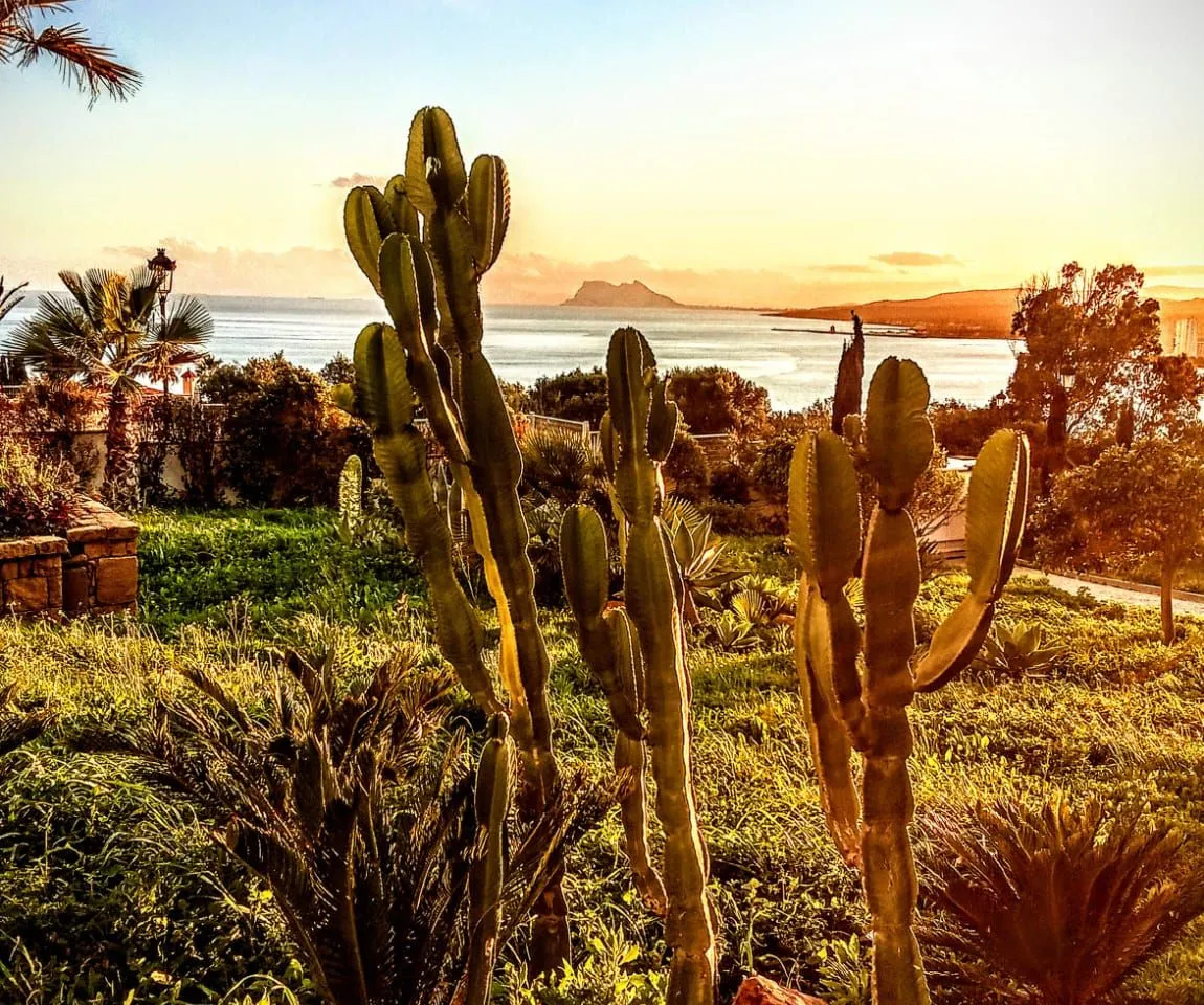 678dd169-d283-4d98-9811-3b5112cefcd8