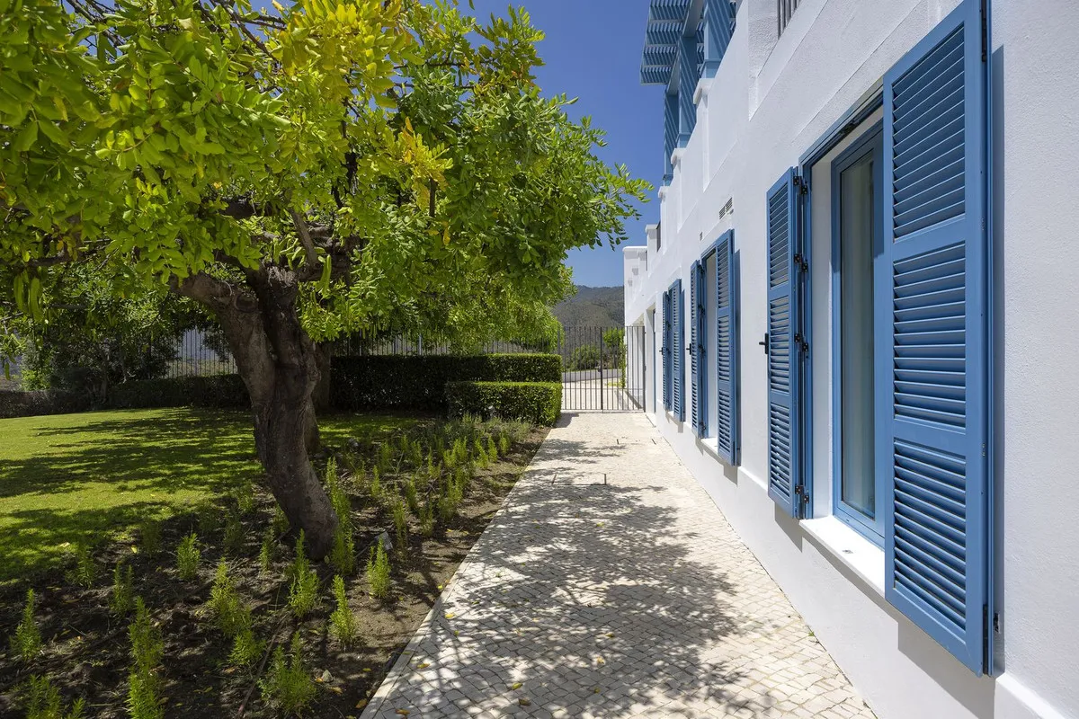 0d01fe95-e635-41bb-a363-fad079758121