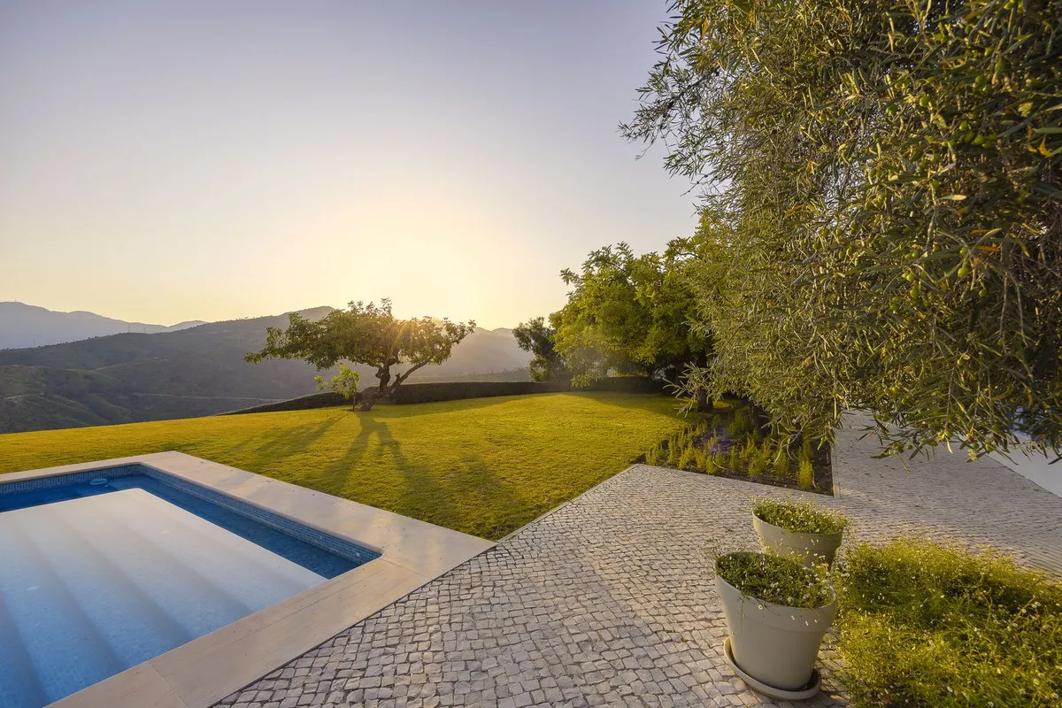 f5aa3755-5a7b-4d2f-bf2d-9c2af080a148