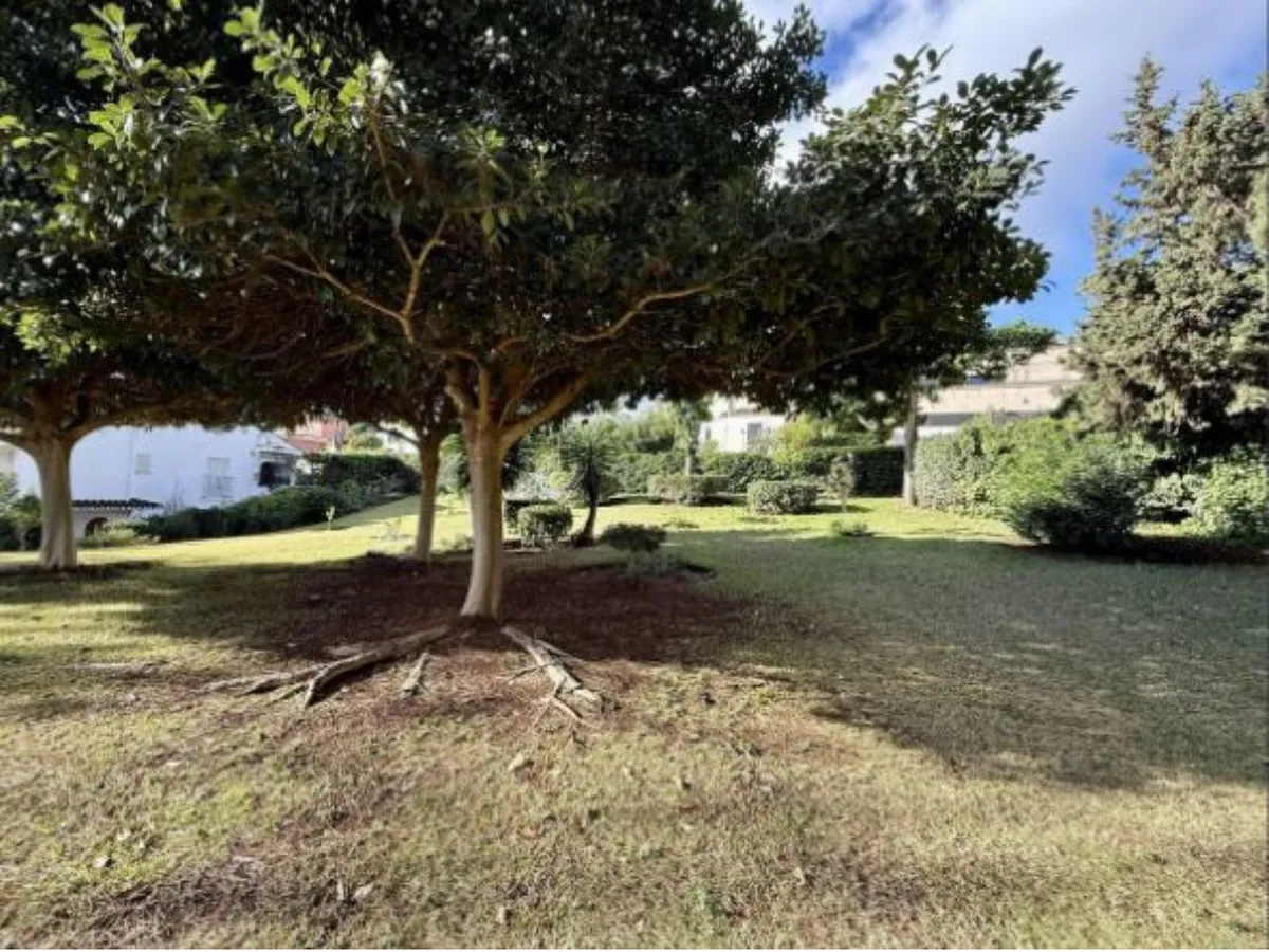 7cc4117a-9c70-4e6c-9de5-13ee68c00f4e