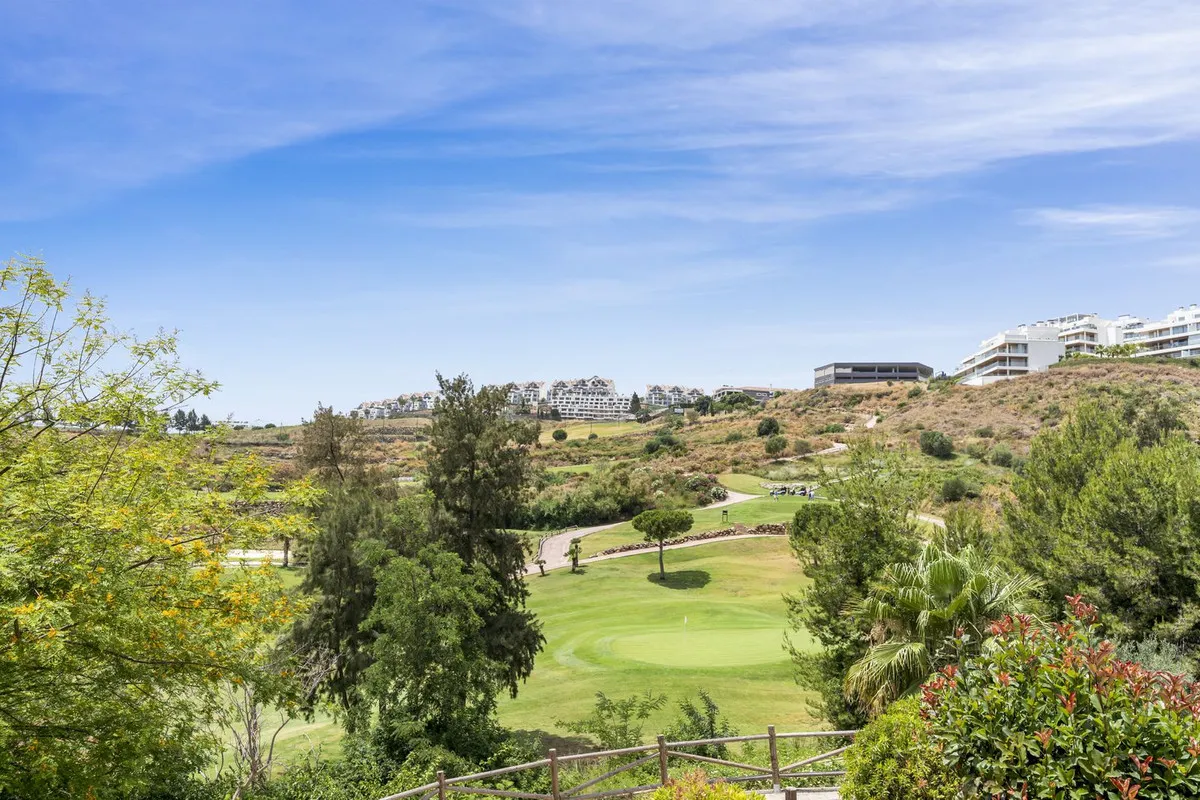 2647fc01-1069-40b4-b042-a6ce773c95cd