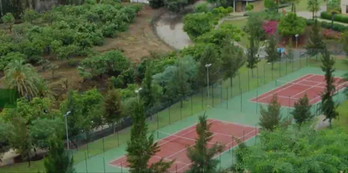 8413280a-bb45-488d-8440-263f63939ff0