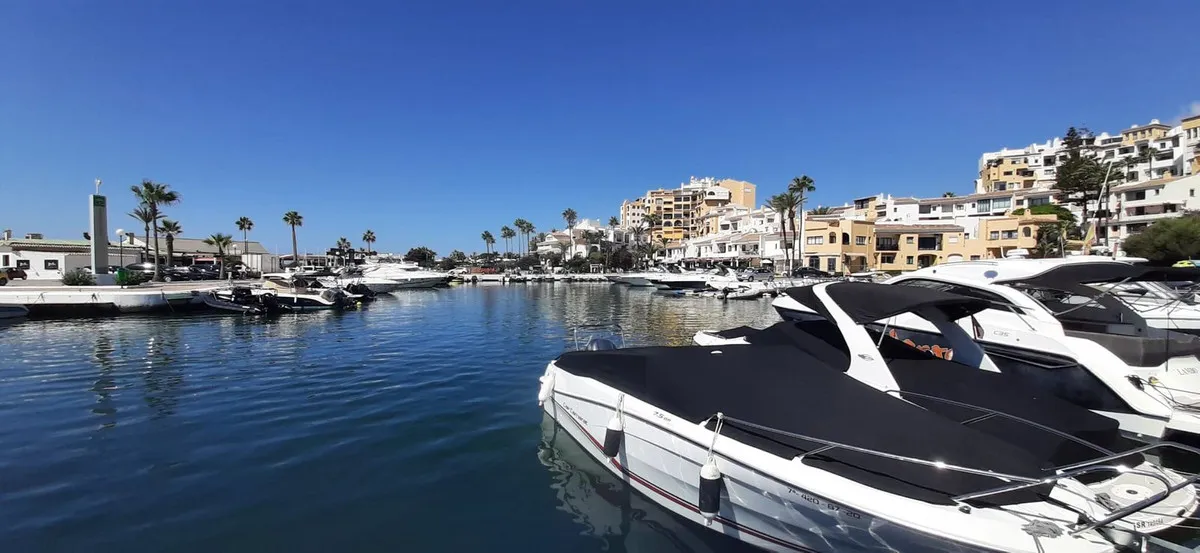 0a8d48e8-e261-4a5c-b16f-dafbd4ff3014