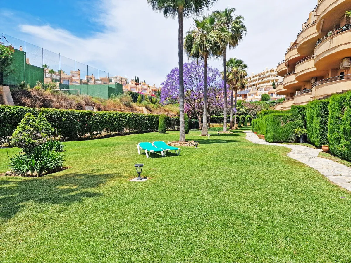 dc2a2f75-7719-4f4f-b32a-d54b0de7a0f5