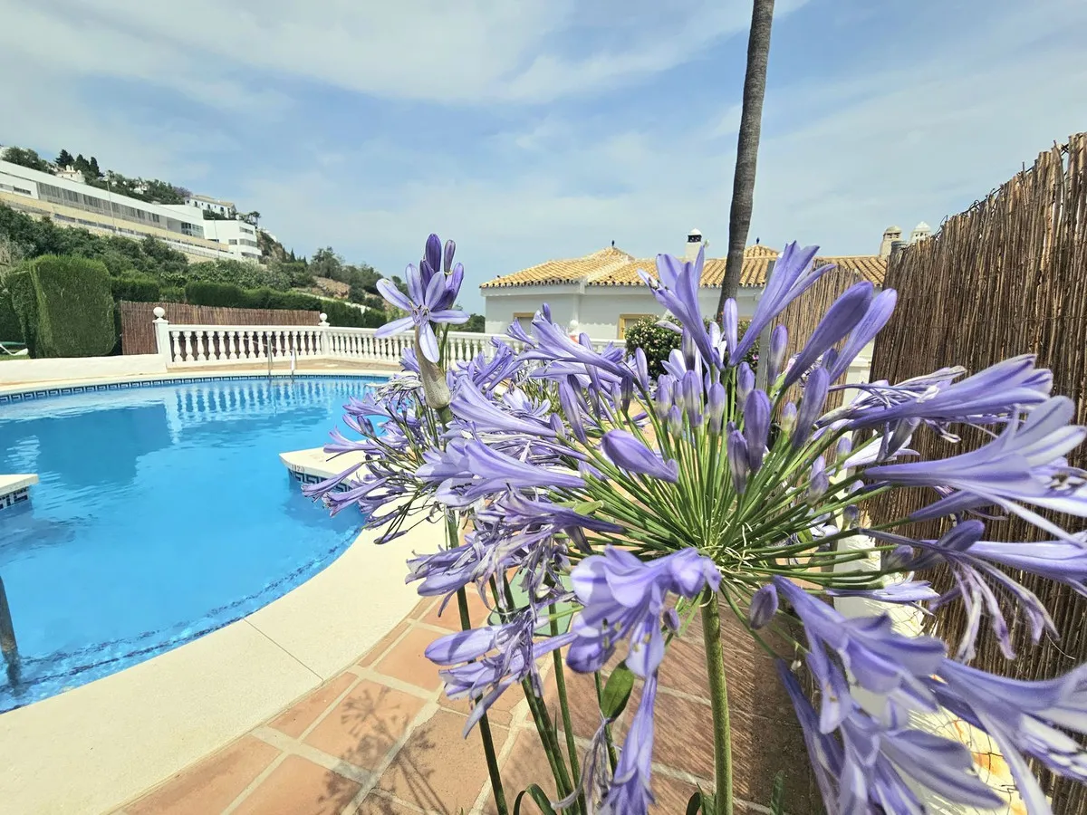 8b5a9803-5e3a-488c-bc0e-a8aaa0bfe13a