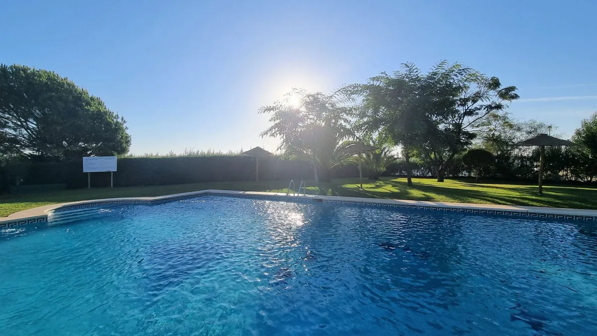 626467a3-53b2-416f-a357-8d939ad1c8ac