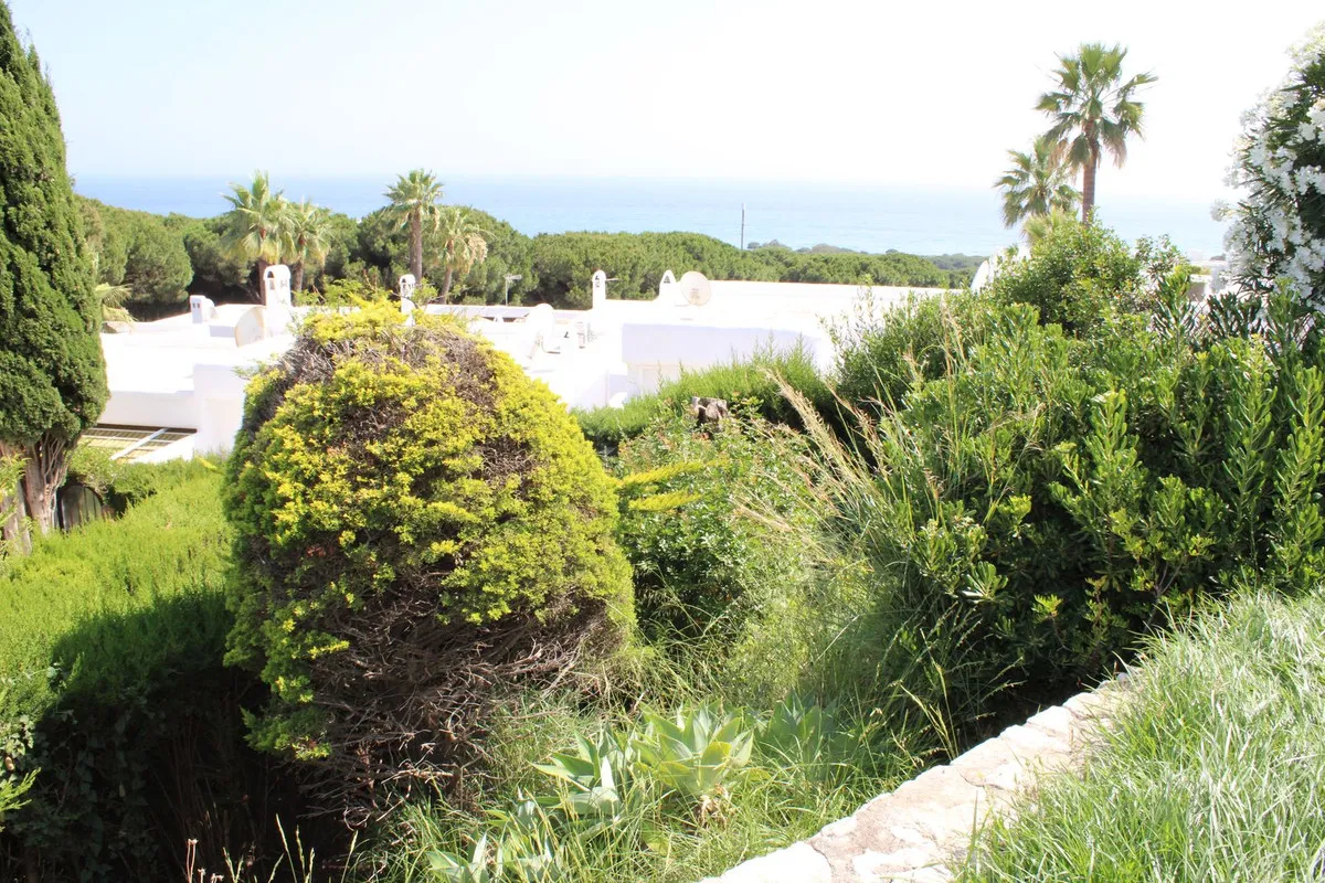 11915cae-f1f3-4abc-96dc-fa88cec89ef3