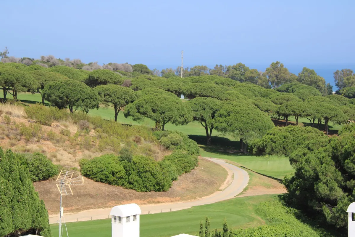 428b9545-057d-4eb5-aedd-ab3f4971ad8f