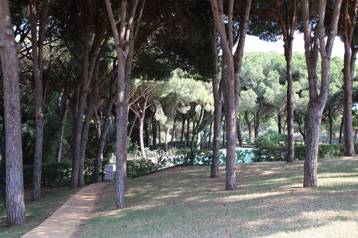 67a14c4a-1e47-4a3c-99dd-6e85d36cff05