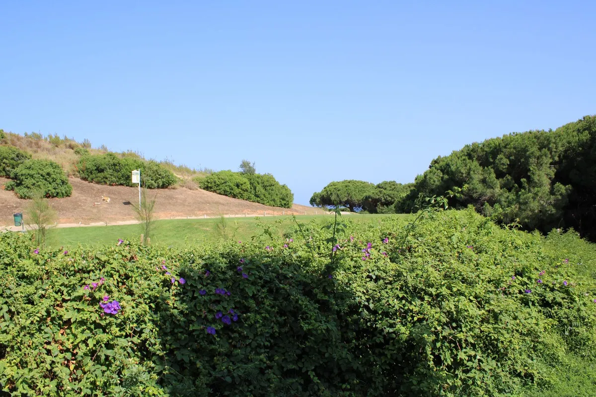 79755c3b-37ff-46e6-8515-b2ee8a42f140