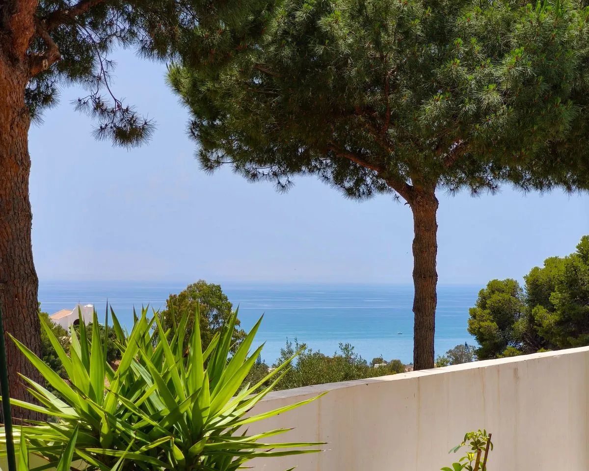 b872b2d9-07c0-432e-897a-8d970407142c