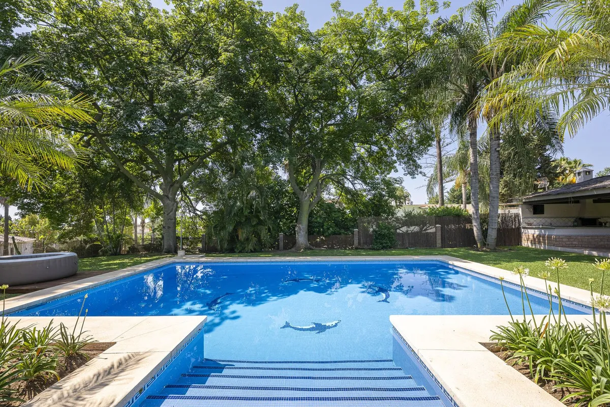 4a8dcbe9-fe5a-4a35-87ed-24697f241b82