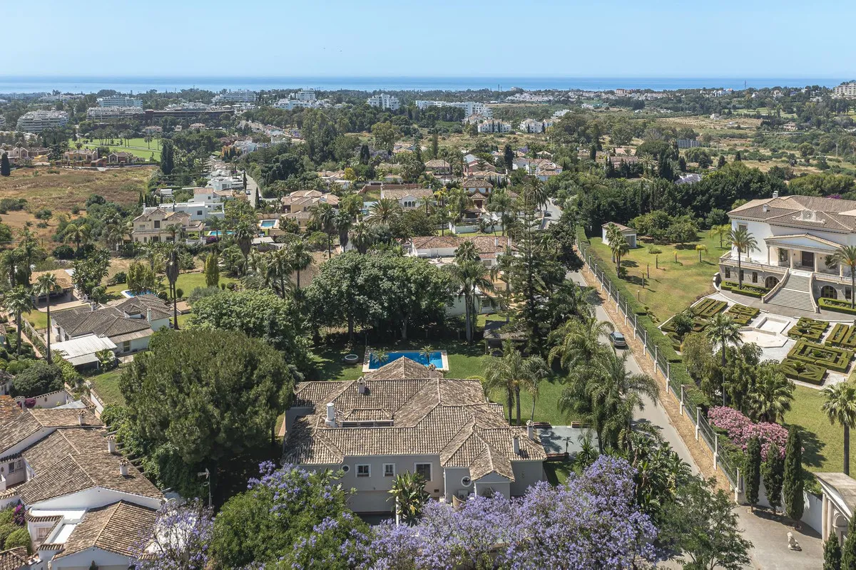 d353e6ed-adfa-43f3-adda-07e6da7c247e