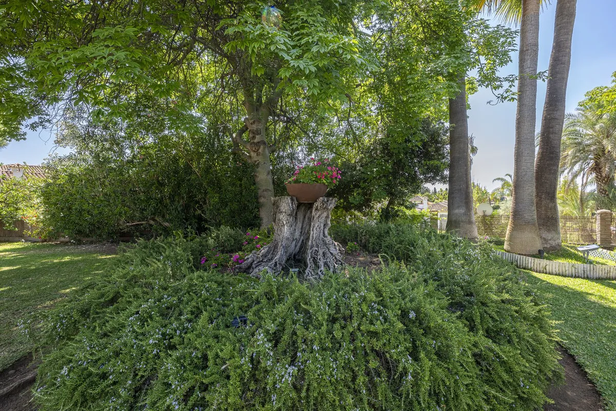 d645dbbc-7811-4dc3-ae9e-464131817f07