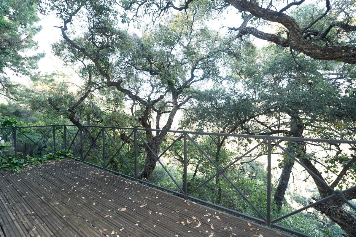 75e7730d-4eeb-4f56-a737-f1af73223d94