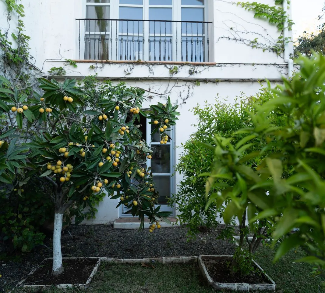 c5334be6-83ee-409c-b62f-2ea93d8dc37e