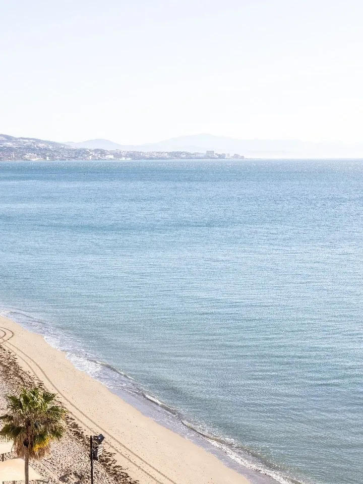 8cf45293-f181-4569-820b-1d2111df4426