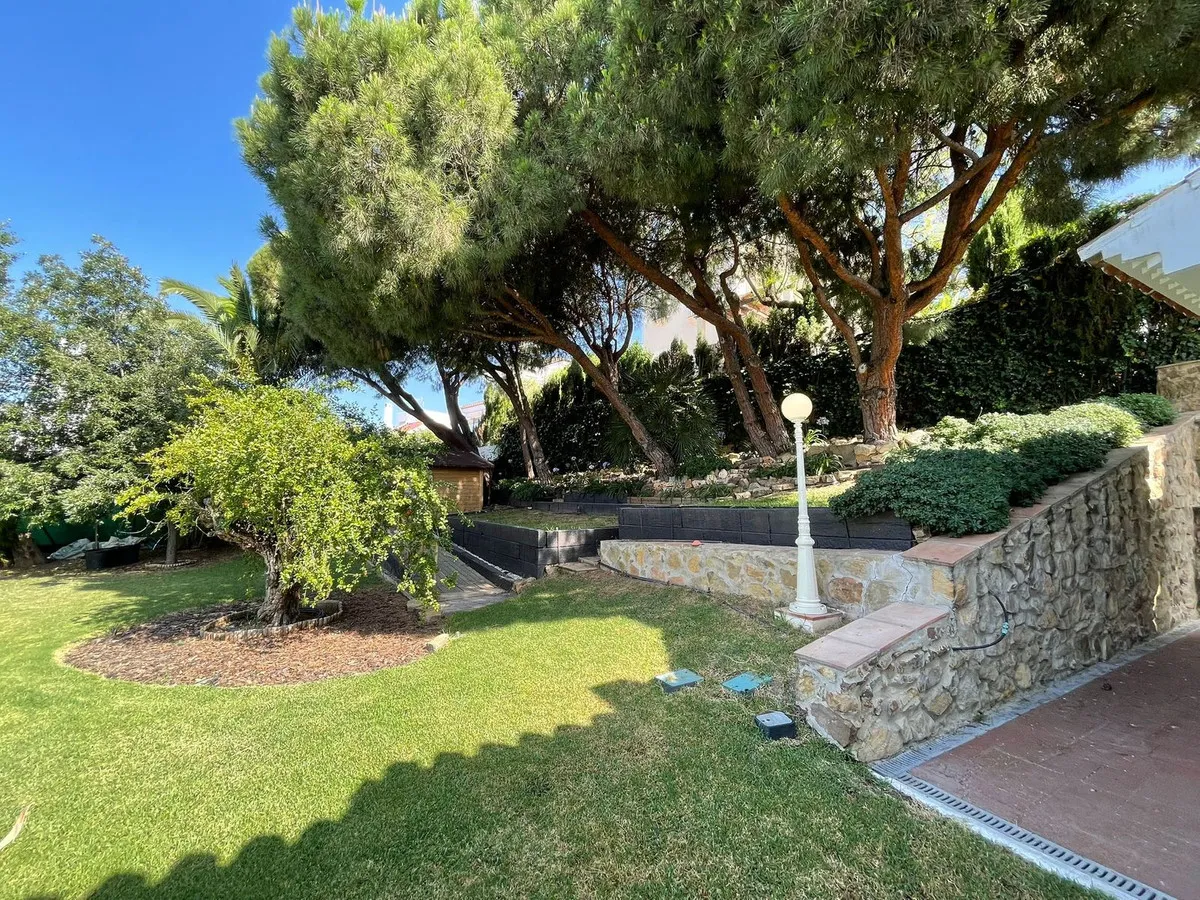 d1d258a7-fc20-4062-b207-37934157e3c0