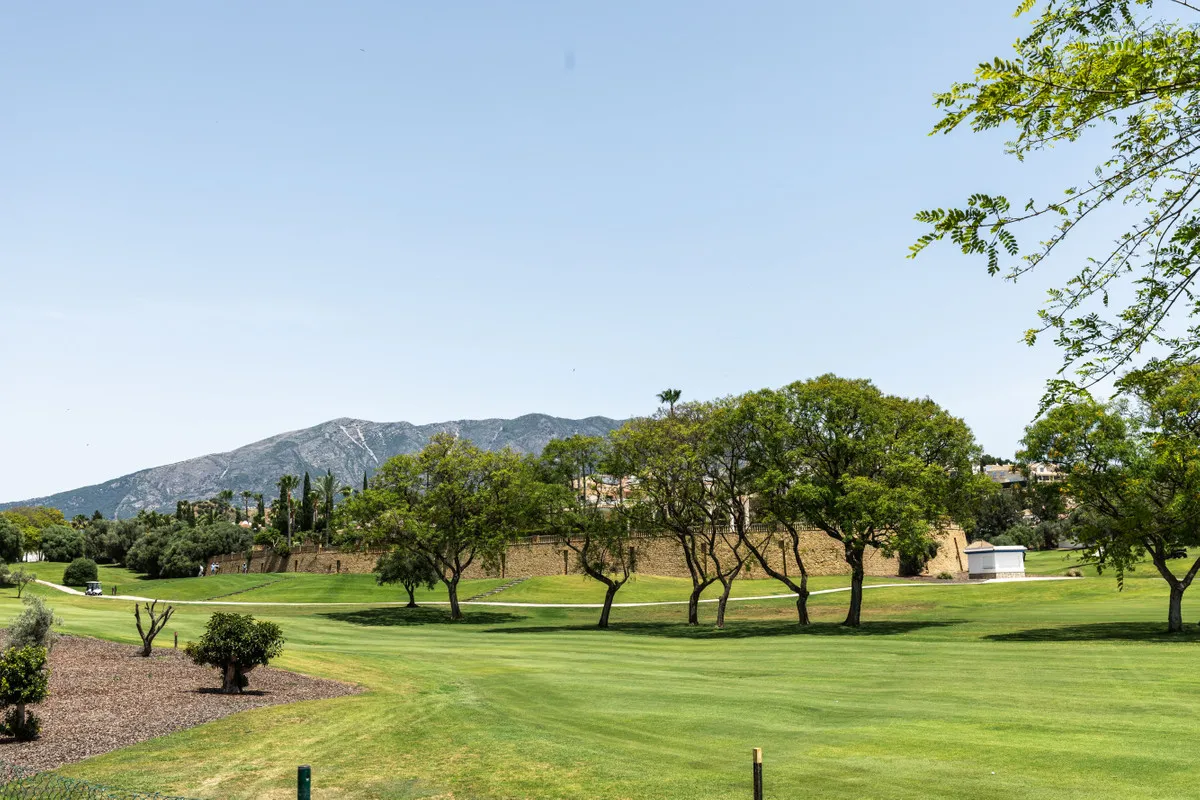 d9ca4212-b5e7-42d5-b6b0-57c989c13dcc