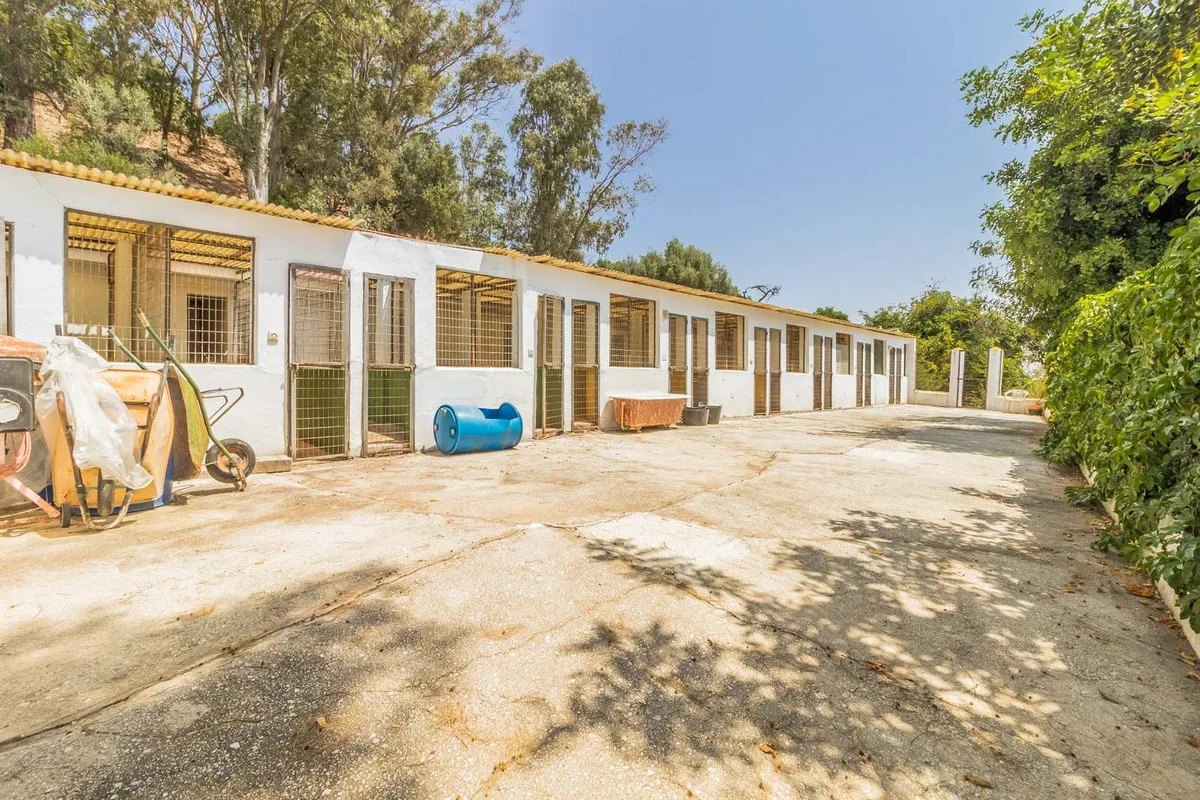 0798974a-5435-4046-8978-05d67c6be7e0