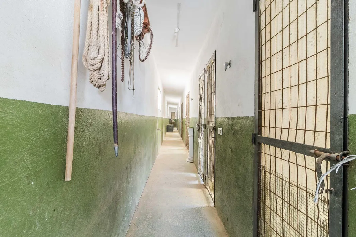 abbf1e38-c305-4a4d-aa77-a8a36b170c99