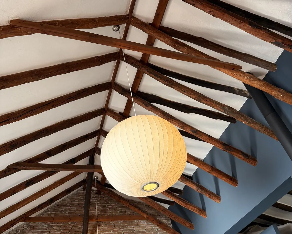 c6526010-af7a-4876-bb63-6e5044de754a