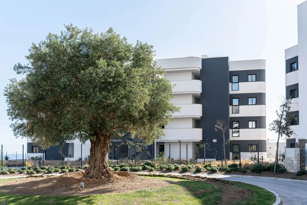 feefbe3b-5933-4f0c-8969-190c46018cb4