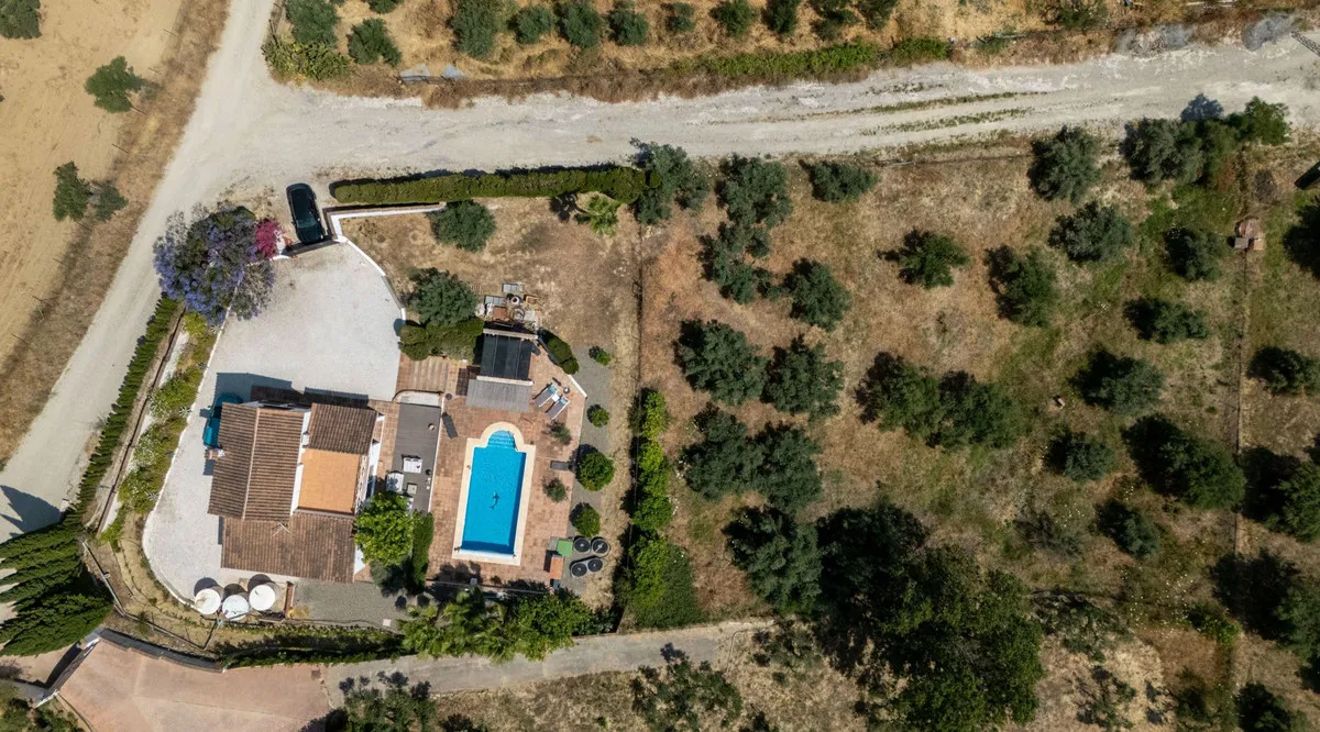 9b565b76-2c57-4a61-8272-86b2c311a01f