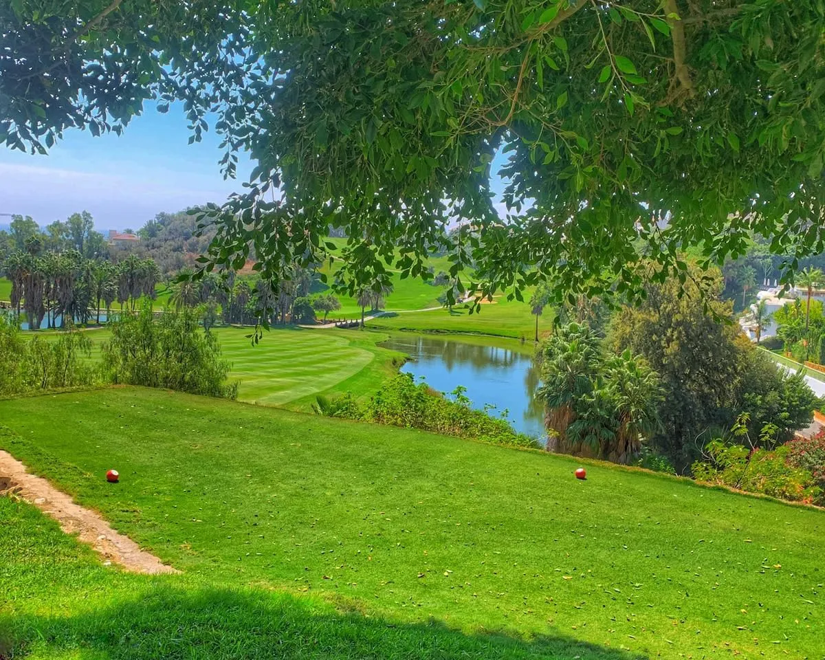 8db185b7-2936-427b-a394-7c3feb03124b