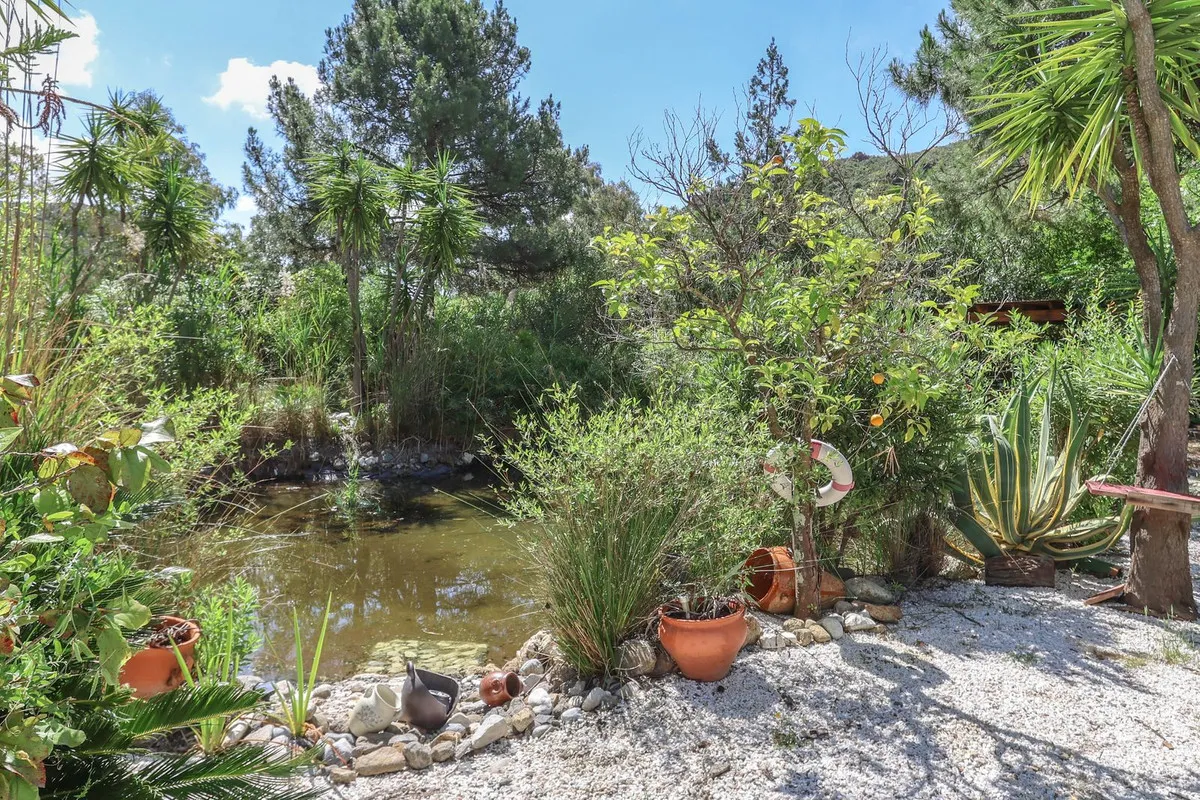 8d3c2f06-23f8-44ba-ab1e-90ab243354eb