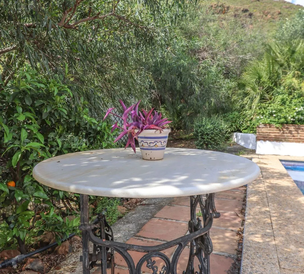 a246bdc8-9123-4d23-b77e-2780df929267