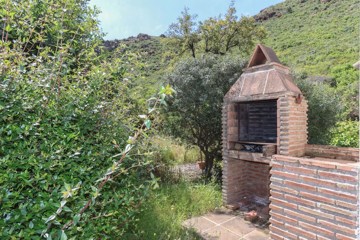 ee56f490-7997-41c2-bf0c-341dad1e8216