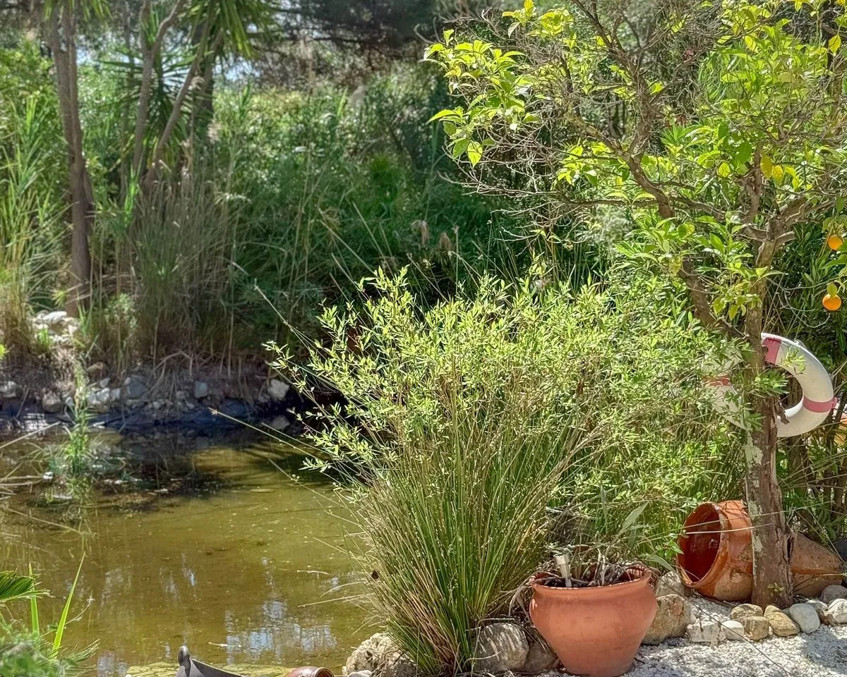 ff645537-e594-41a0-b53b-6b98e61ea93c