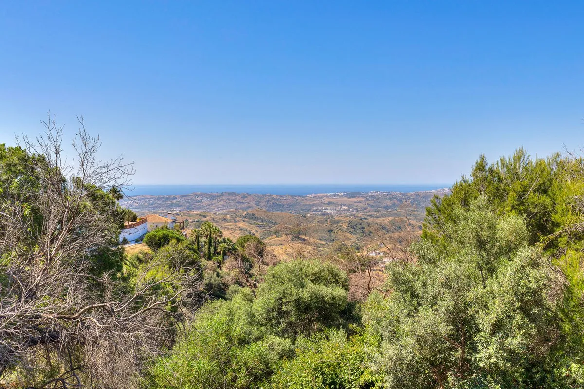 46dc930f-f168-4f70-a843-c55a6259581f