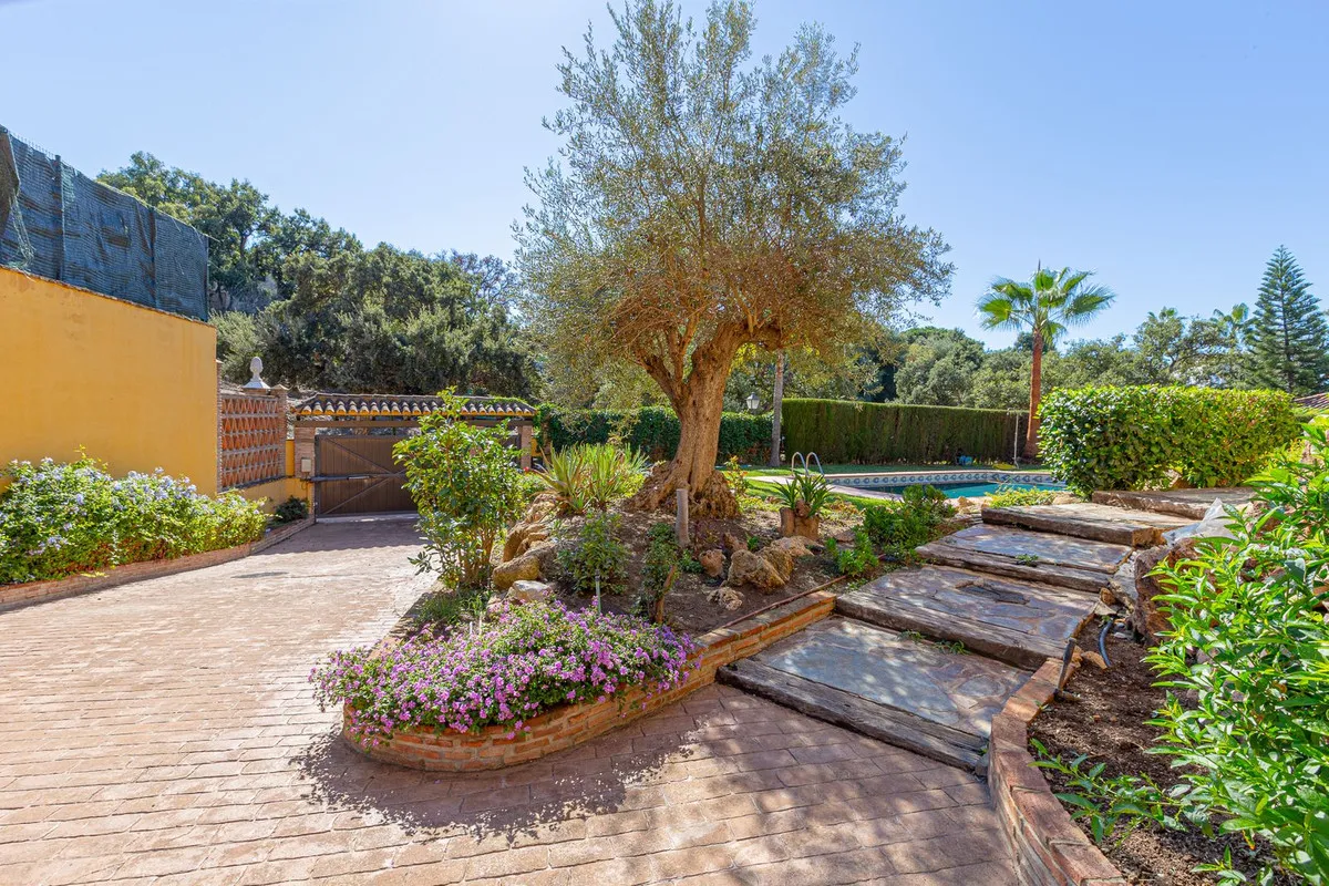 8c96d18a-f35d-4b00-b2b4-658bfb95848e