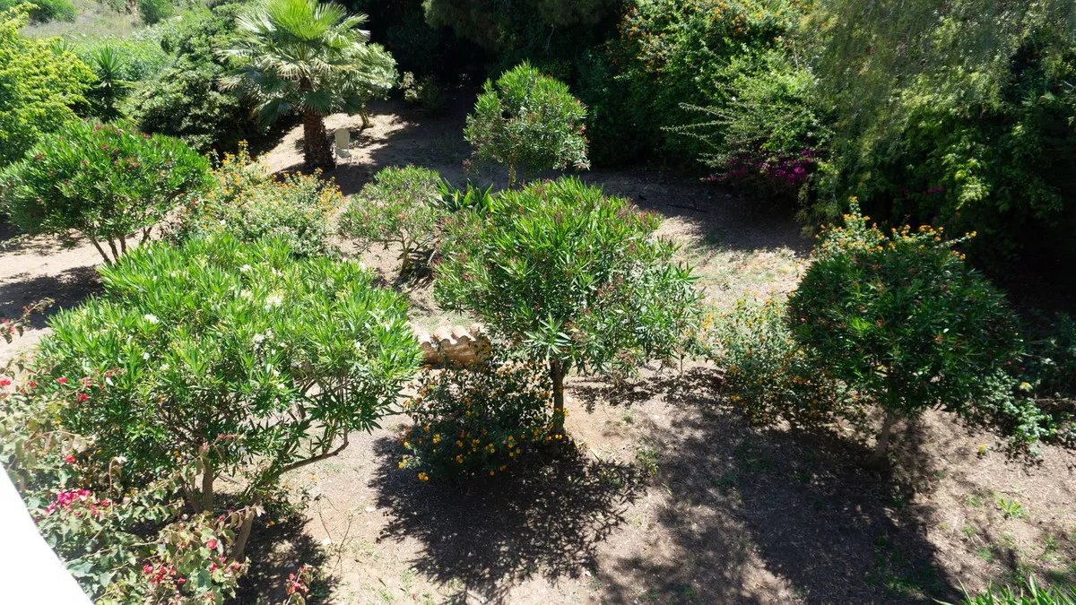 ad6500ad-36b6-4090-898e-6c4c04eefb3c