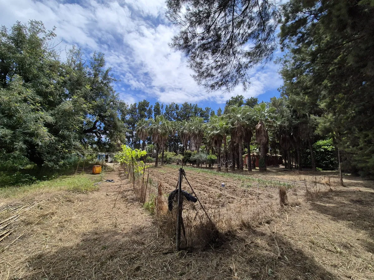 00885b6c-18ec-458c-9a35-19ac24b23a42