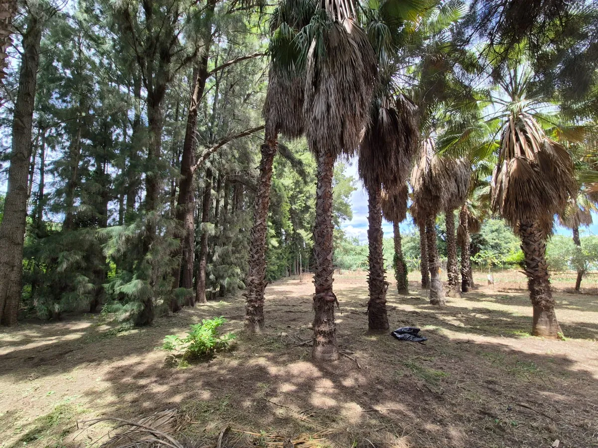 1e050eb2-9c96-4c70-9d0b-93e4180c67a7