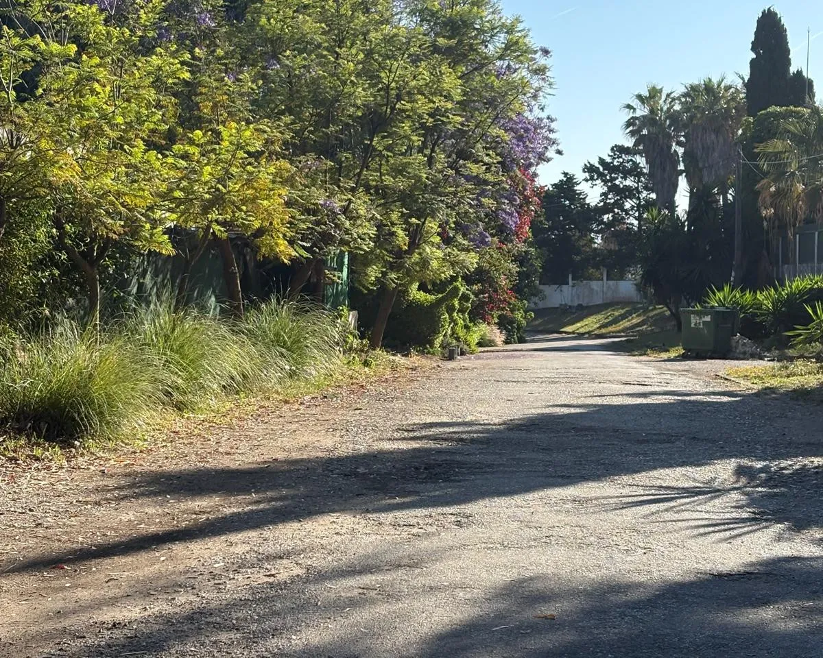 7c0d1ce2-eb1e-4242-a6f0-95196dbacb9c