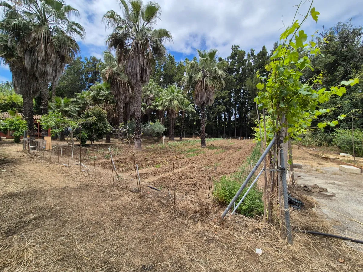 868b263d-30d2-4703-81bc-6c5a01c70994