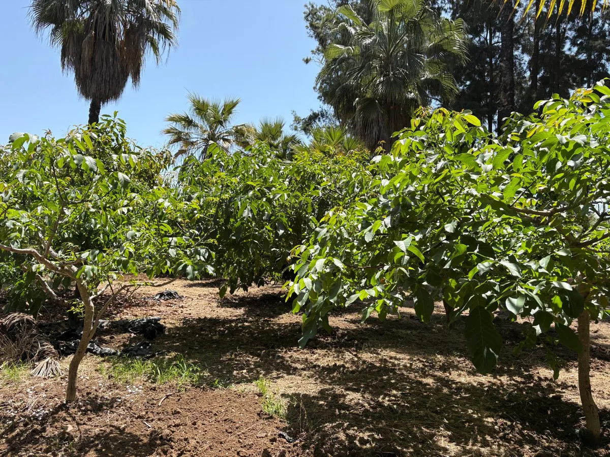 a39c4652-29a8-48a7-85c6-a69c0684c786